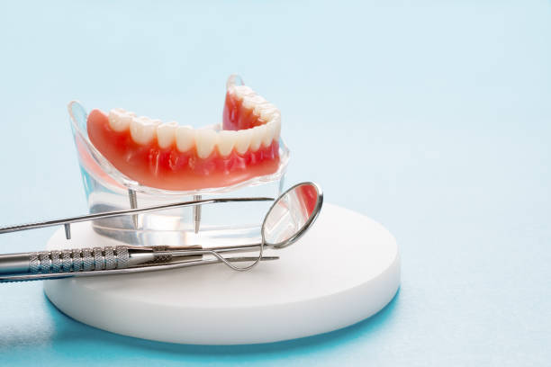 Best Preventive Dentistry  in Casselberry, FL